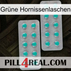 Grüne Hornissenlaschen 29